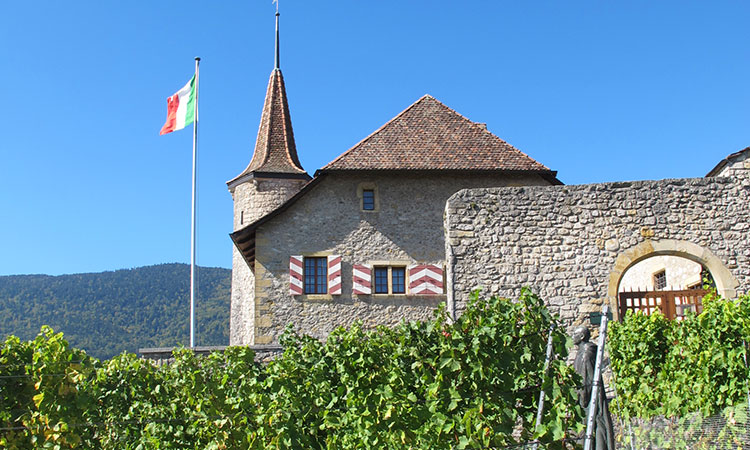 Le Château de Boudry, Boudry